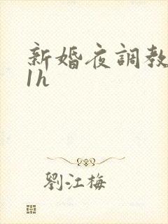 新婚夜调教1v1h
