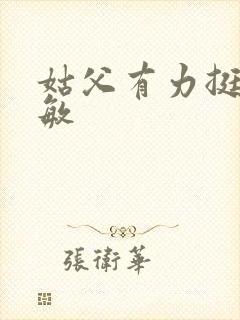 姑父有力挺送赵敏