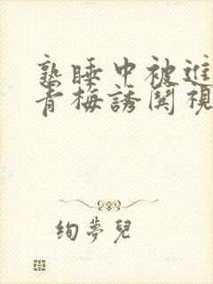 熟睡中被进了H青梅诱哄视频