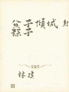 公子倾城 维和粽子封面