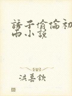 诱子偷伦初尝云雨小说封面