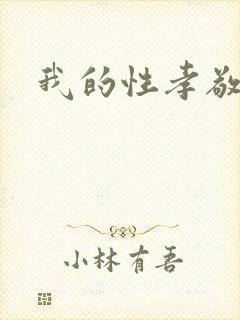 我的性孝敬封面