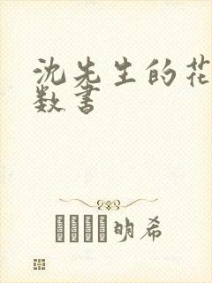 沈先生的花式调数书