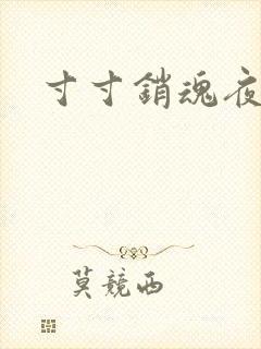 寸寸销魂夜春光