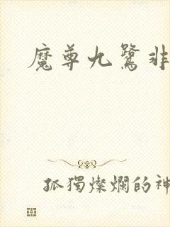 魔尊九鹭非香