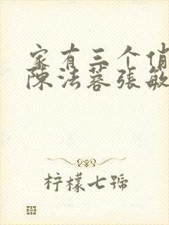 家有三个俏媳妇陈法蓉张敏