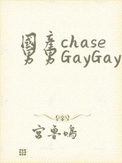 国产chase男男GayGay