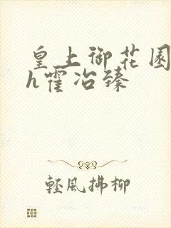 皇上御花园hlh霍冶臻封面