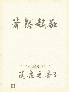 萧然起敬封面