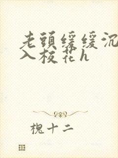 老头缓缓沉腰进入校花h封面