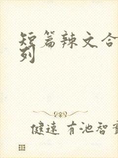 短篇辣文合集系列