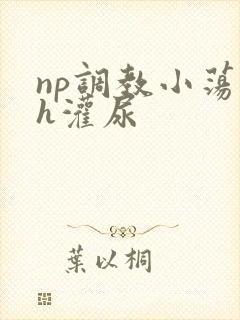 np调教小荡货h灌尿