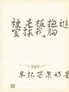 被老板抱进办公室揉我胸封面