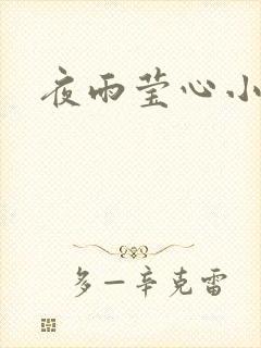 夜雨莹心小说
