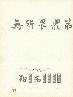 无所畏惧第二部封面