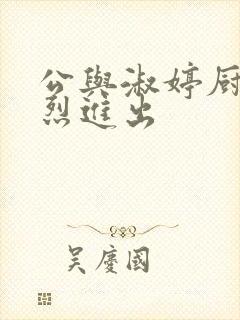 公与淑婷厨房猛烈进出