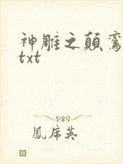 神雕之颠鸾倒凤txt