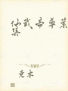 仙武帝尊叶辰全集