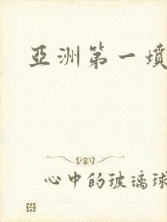 亚洲第一坟封面