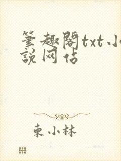 笔趣阁txt小说网站