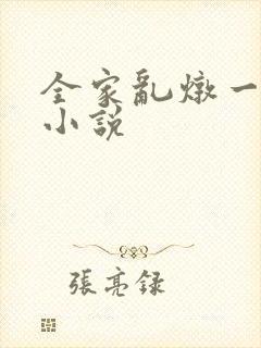 全家乱炖一锅烩小说