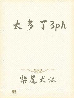 太多了3ph封面