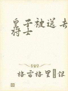 皇子被送去犒劳将士