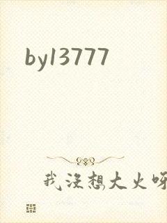 by13777封面