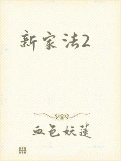 新家法2封面