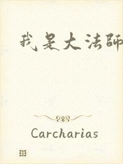 我是大法师