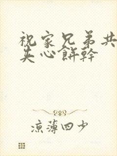 祝家兄弟共享后夹心饼干