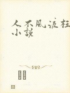 人不风流枉少年小说
