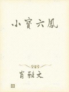 小宝六凤