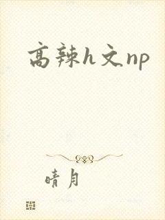 高辣h文np封面