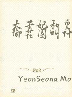 太子妃和皇帝在御花园叫什么小说