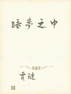 睡梦之中封面