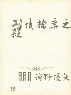 刑侦档案之血谜杀封面