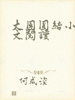 大团圆结小茹全文阅读