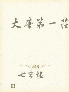 大唐第一庄