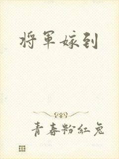 将军嫁到