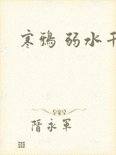 寒鸦 弱水千流