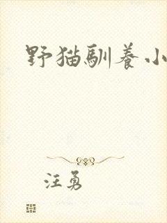 野猫驯养小说