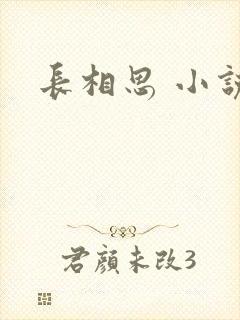 长相思 小说封面