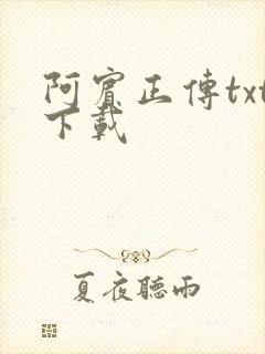 阿宾正传txt下载