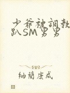 少爷被调教室跪趴SM男男