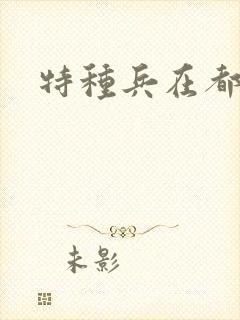 特种兵在都市封面