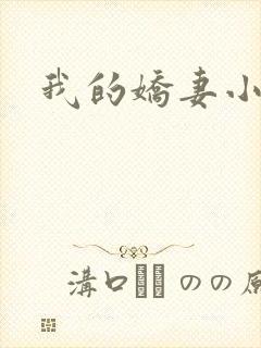 我的娇妻小说