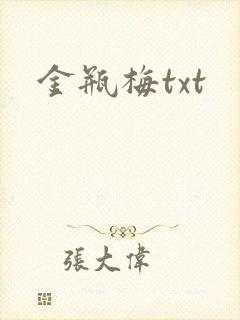 金瓶梅txt封面