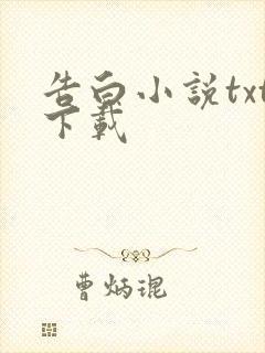 告白小说txt下载