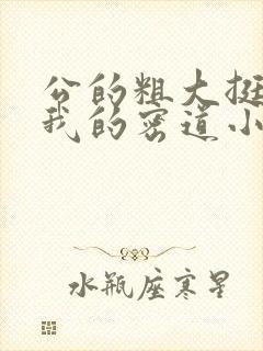 公的粗大挺进了我的密道小说封面